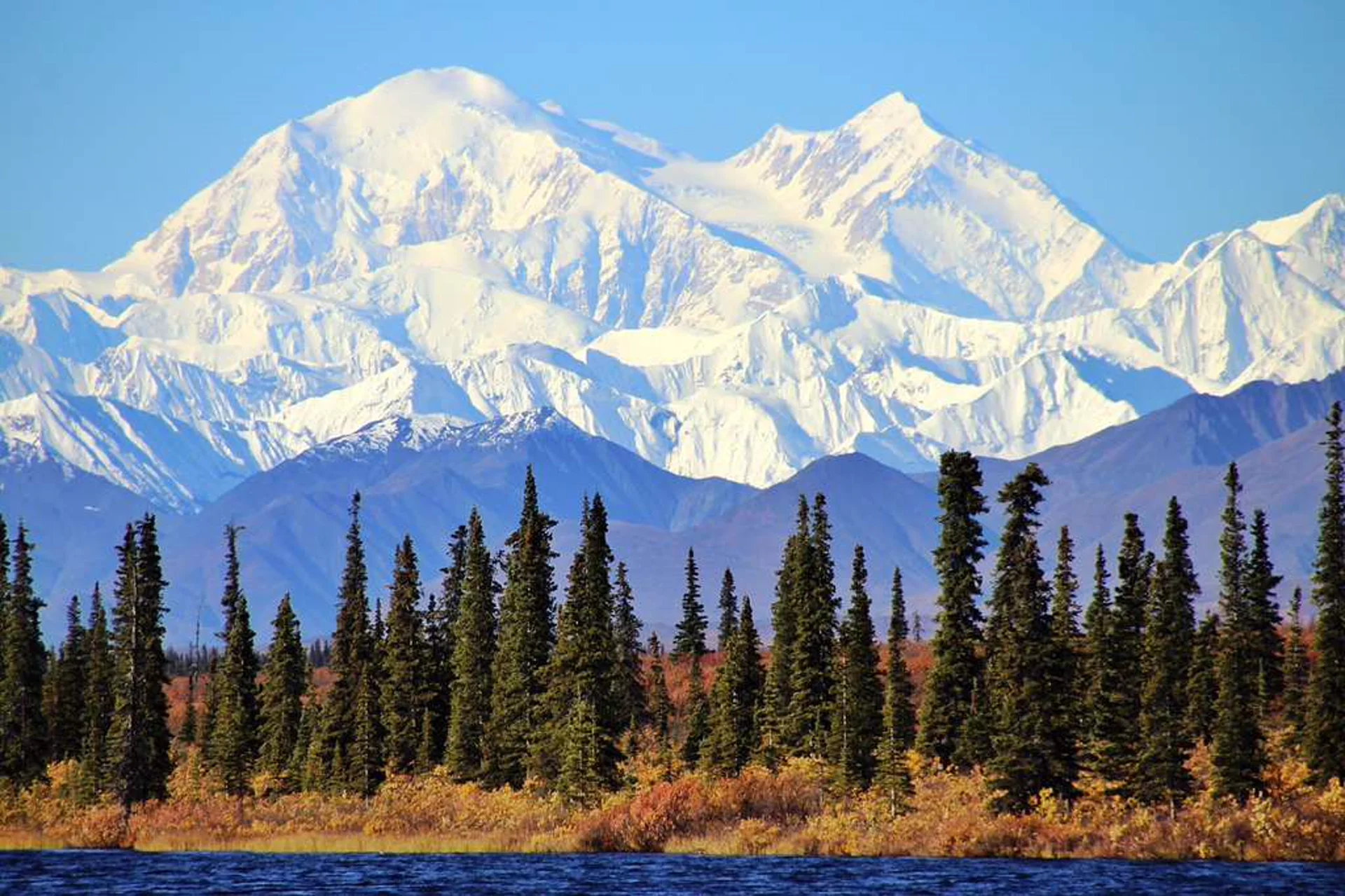 Denali mountain towering over Alaskan wilderness and evergreen forest