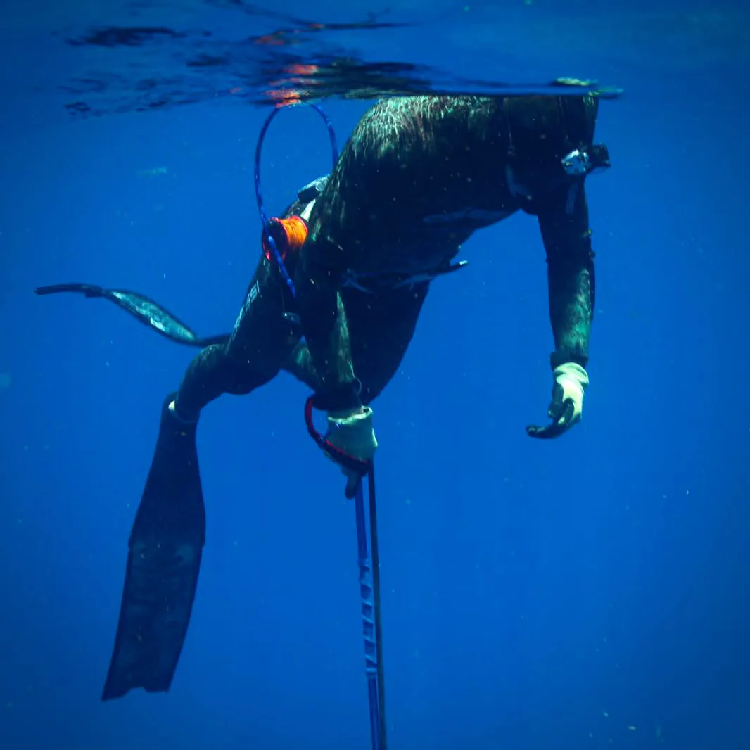 A spearfisher folding into a duck dive at the surface, speargun angled into the blue