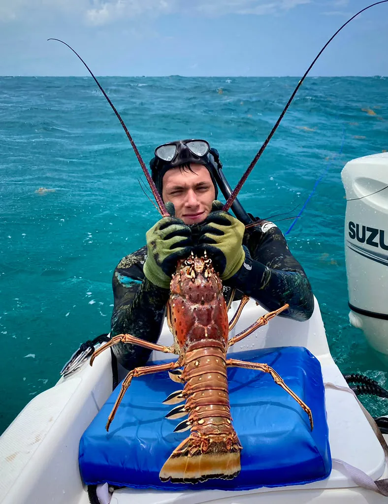 A Caribbean spiny lobster held up on the bow of the boat, antennae arcing against turquoise water